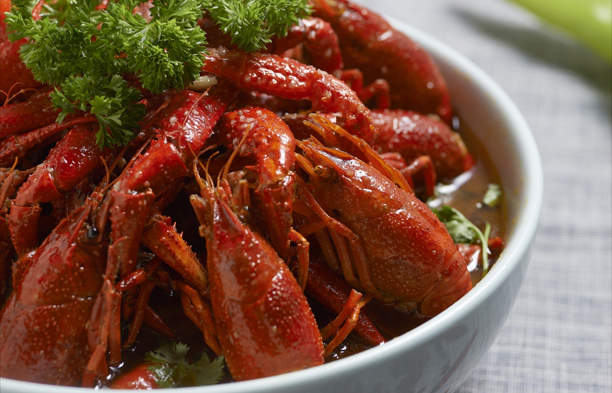 Crayfish Food Photography Lobster Feast