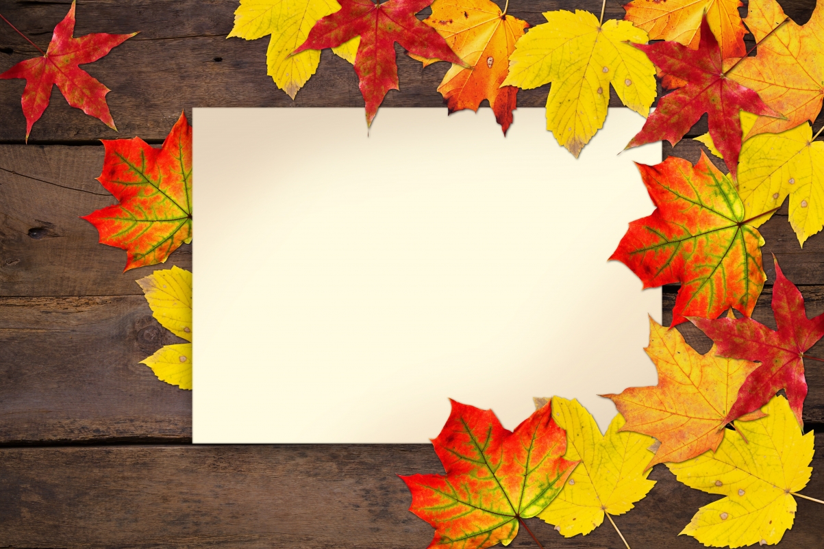 Autumn, leaves, postcard, 5K background