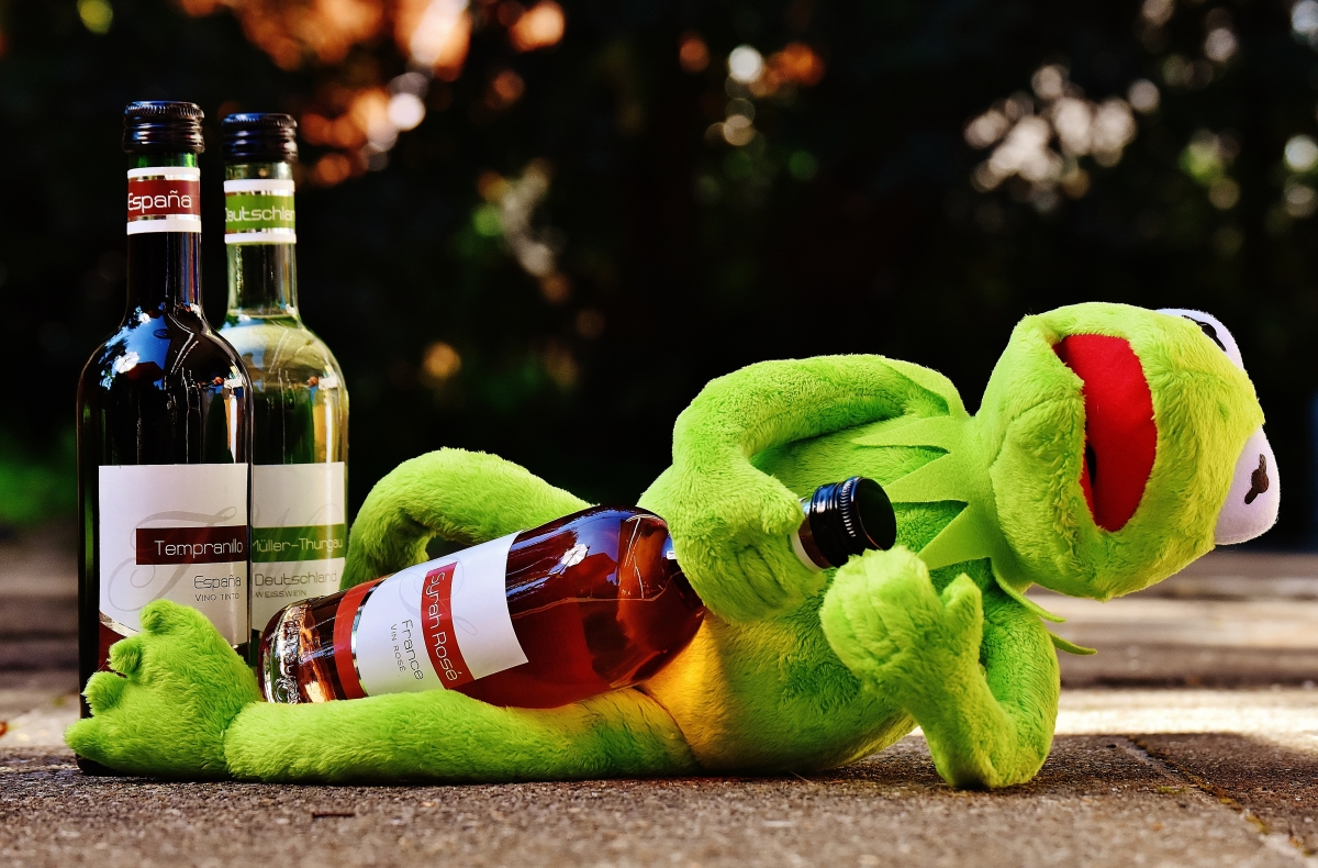 Stuffed animal frog wine drinking rest