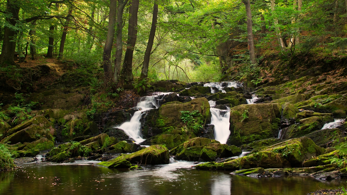 Natural forest creek waterfall scenery 4K