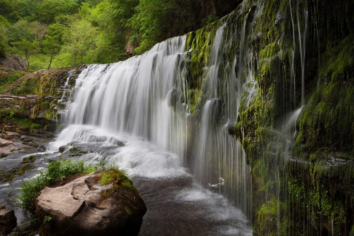 Natural forest rock waterfall flowing water