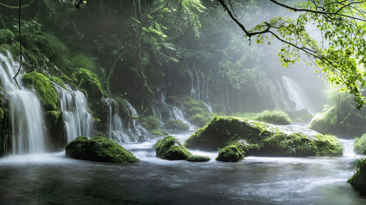 Natural scenery forest waterfall creek