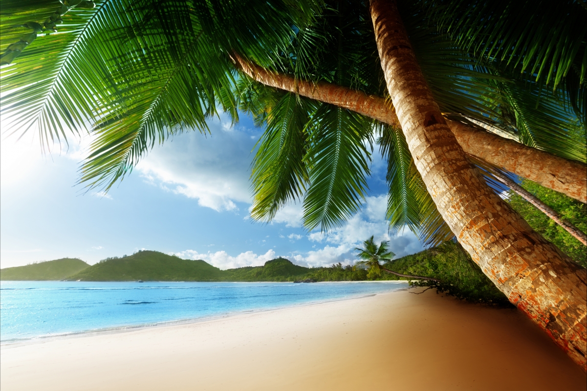 Nature, sky, clouds, coconut trees, seaside