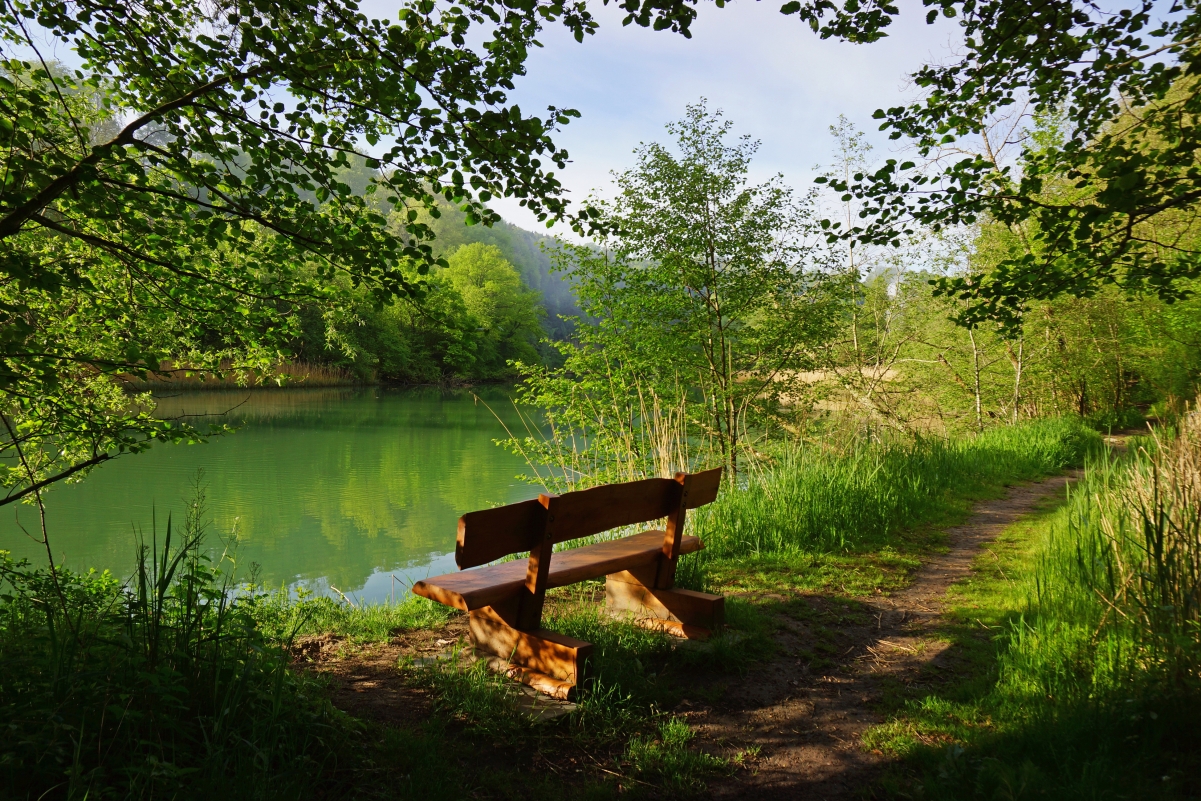 Nature, lake, chairs, road, forest, trees