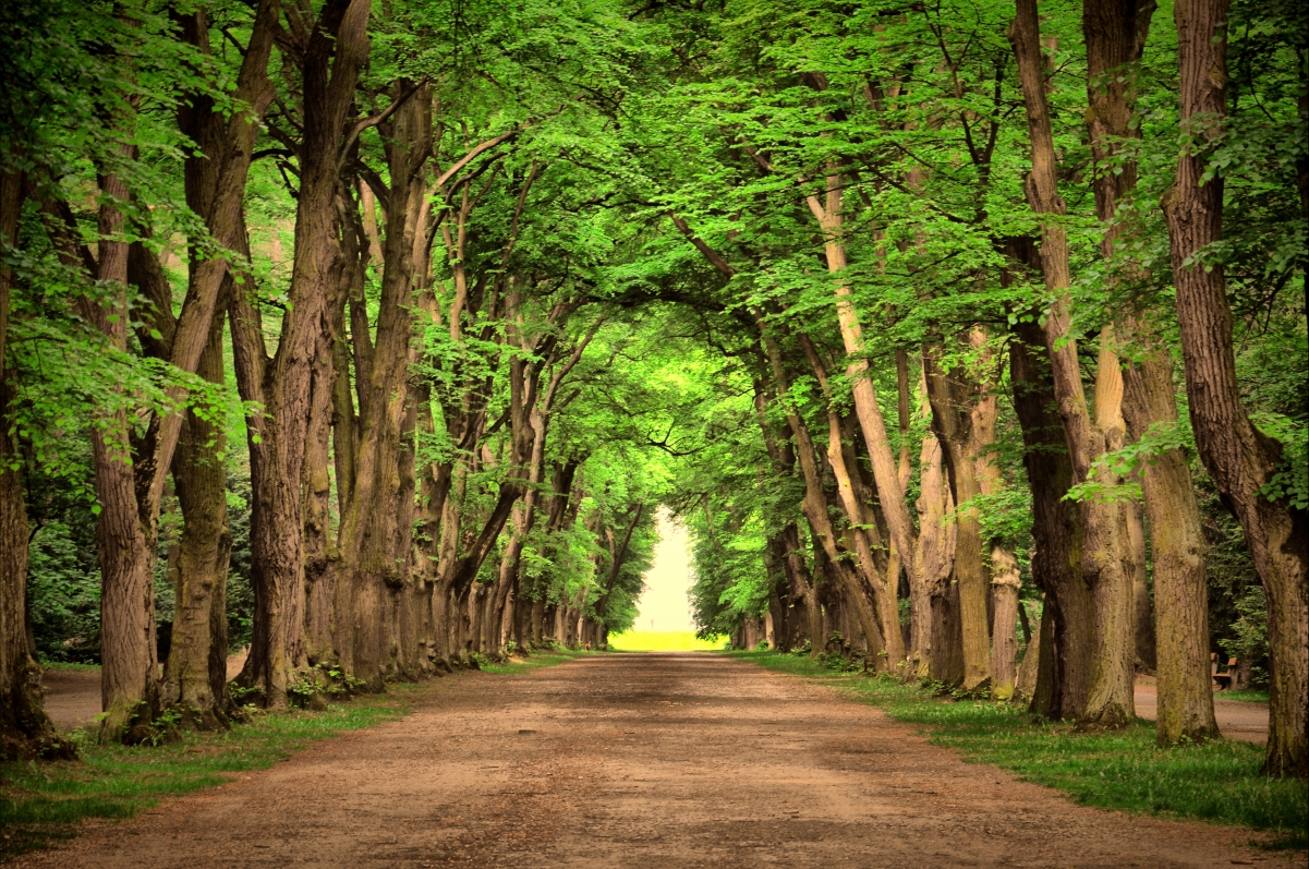 Natural green environmental protection highway road
