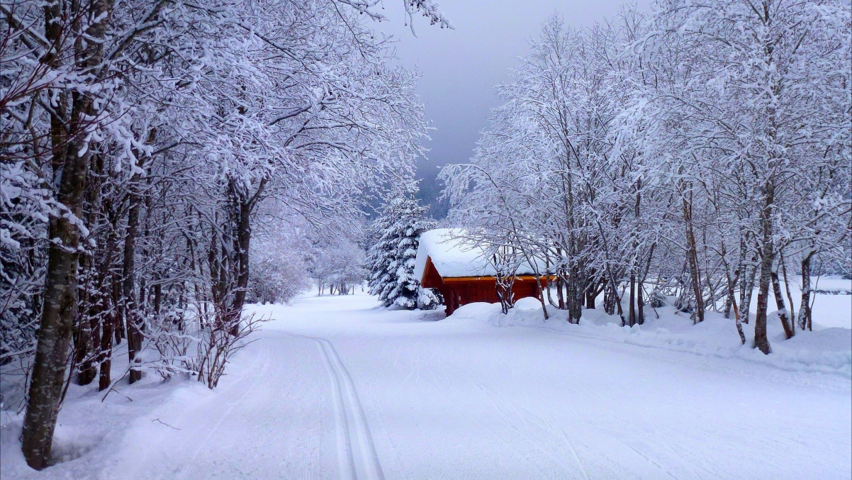 Nature road home house winter