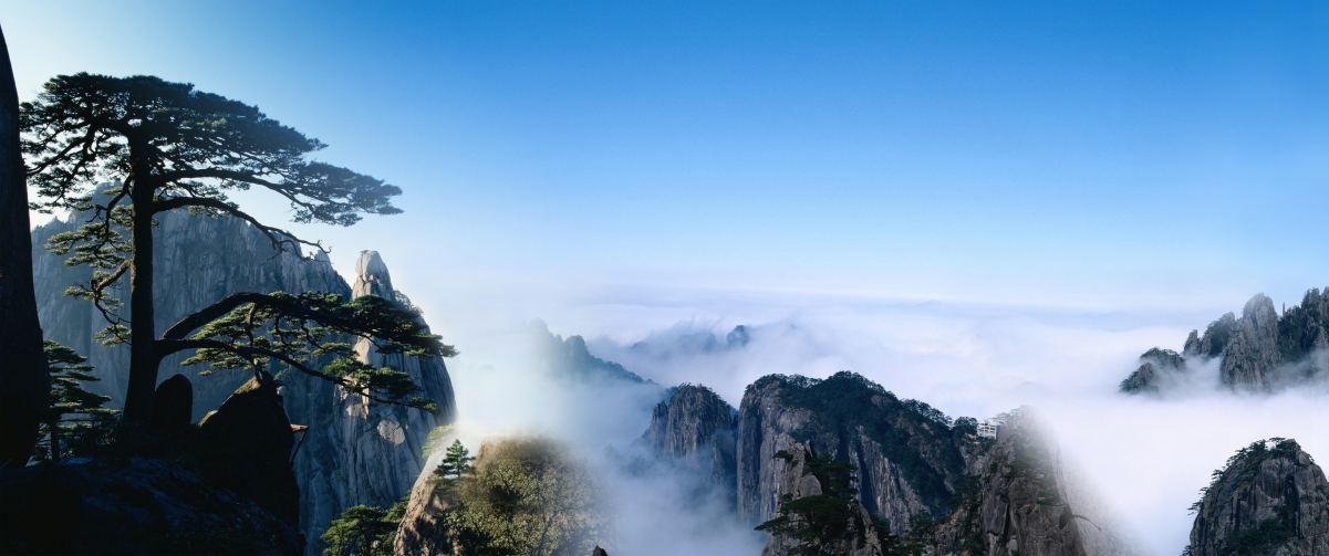 Huangshan welcoming pine in the clouds 3440
