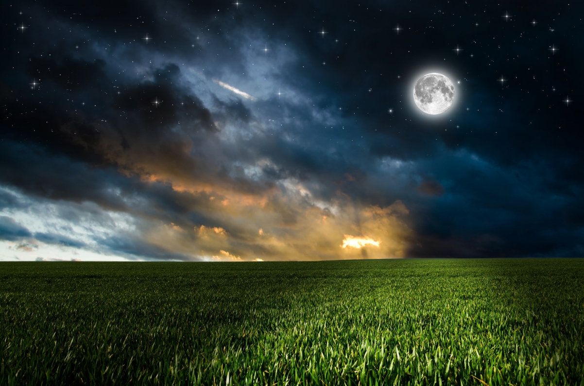 Cloud grass sky evening field
