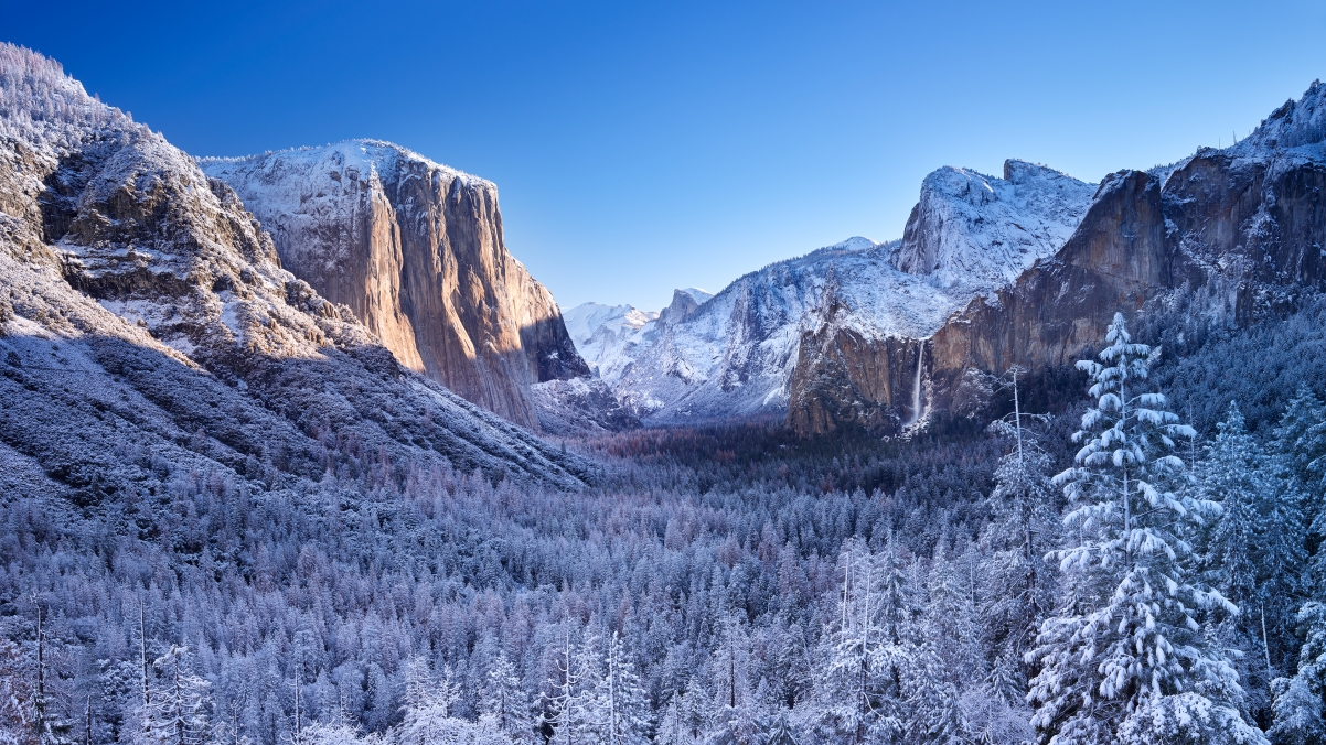 Yosemite National Park Winter Wind