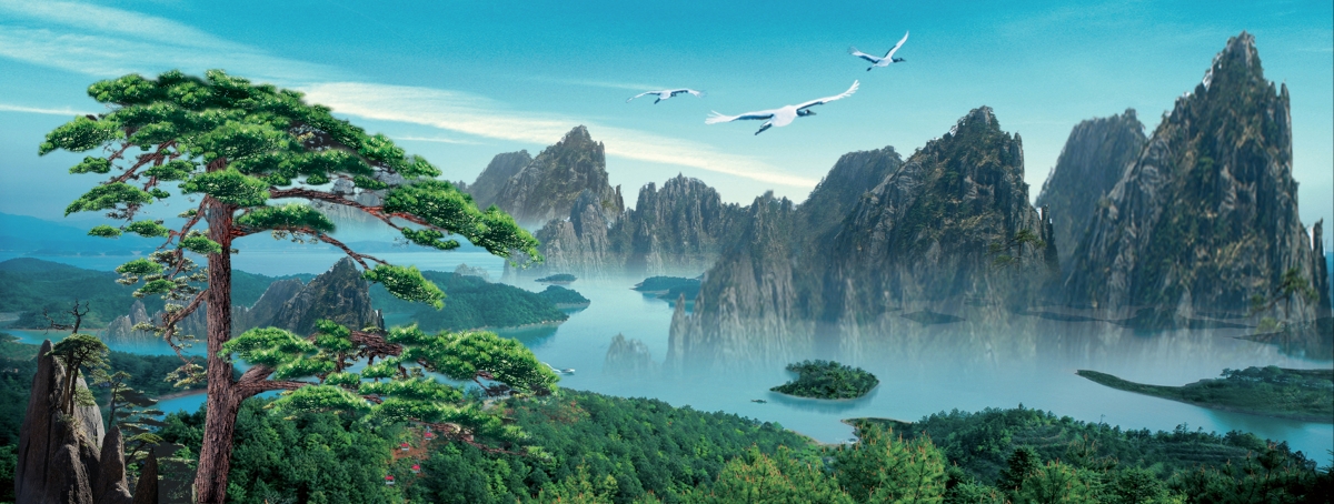 Welcoming pine landscape pictures