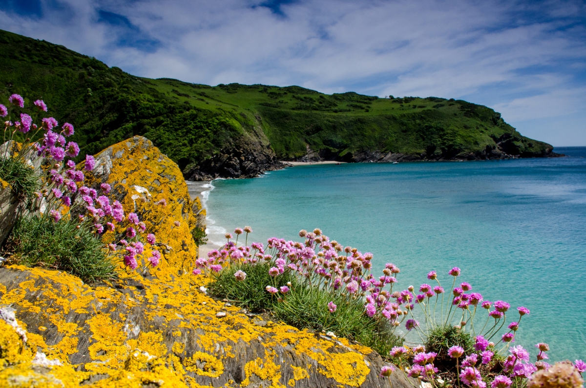 British Coastal Landscape 4K Wallpaper