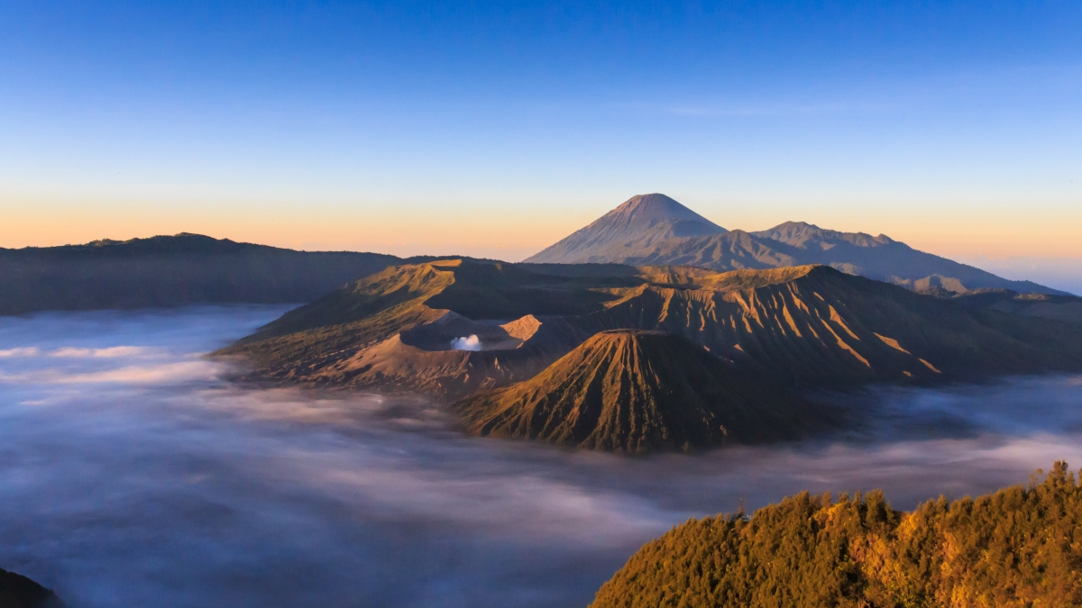 One in East Java, Indonesia