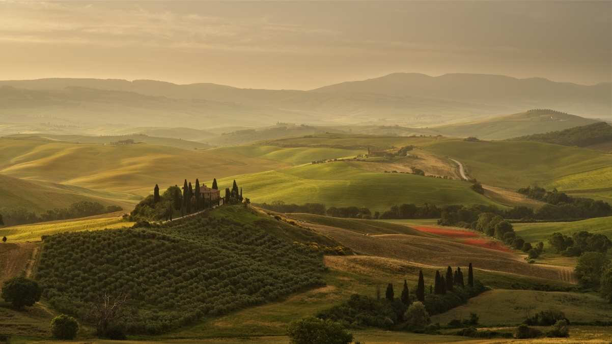 4k wind in Tuscany countryside, Italy