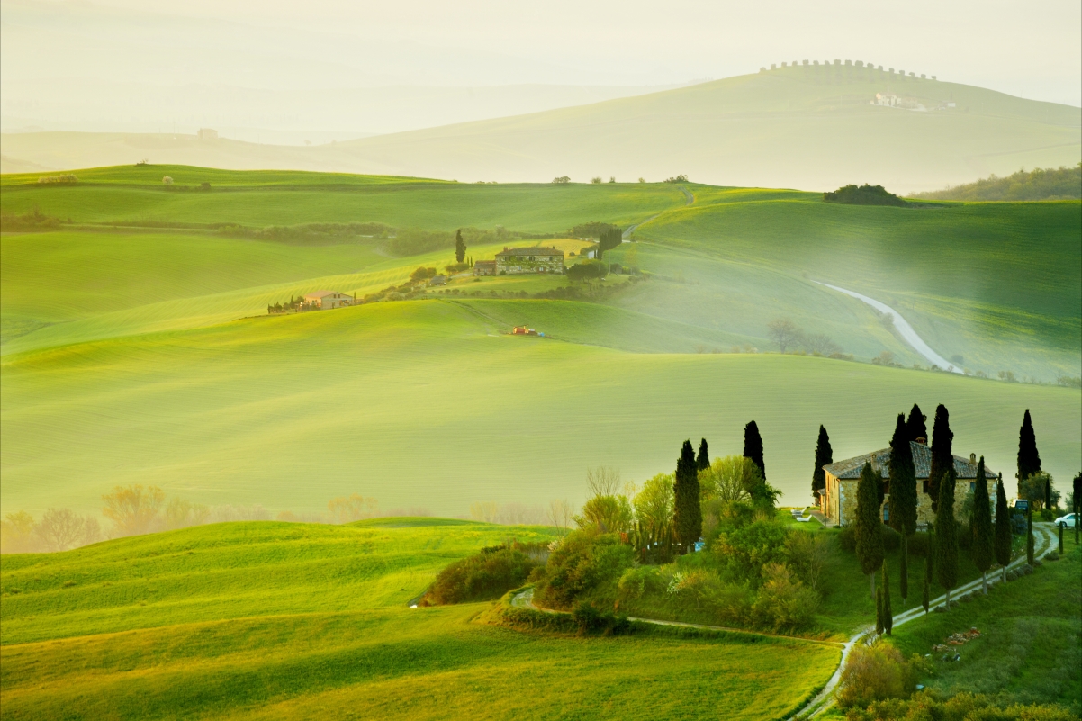 Tuscany, Italy, summer, agriculture