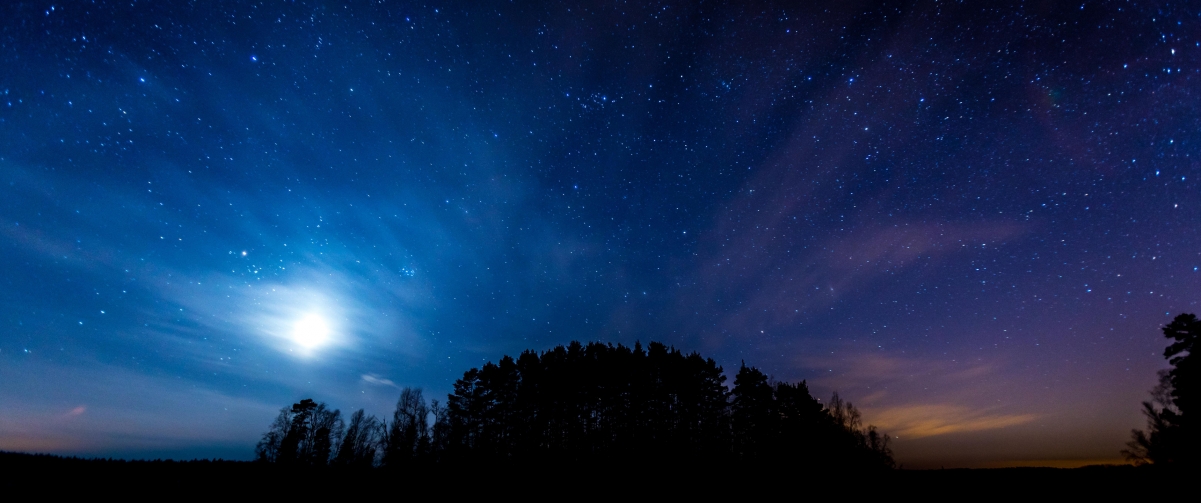 Night starry sky forest 3440x1440 wind