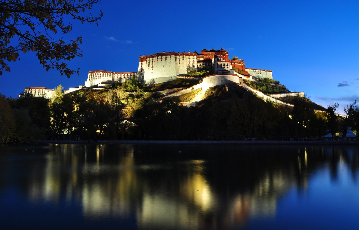 Landscape photography of the Potala Palace at night