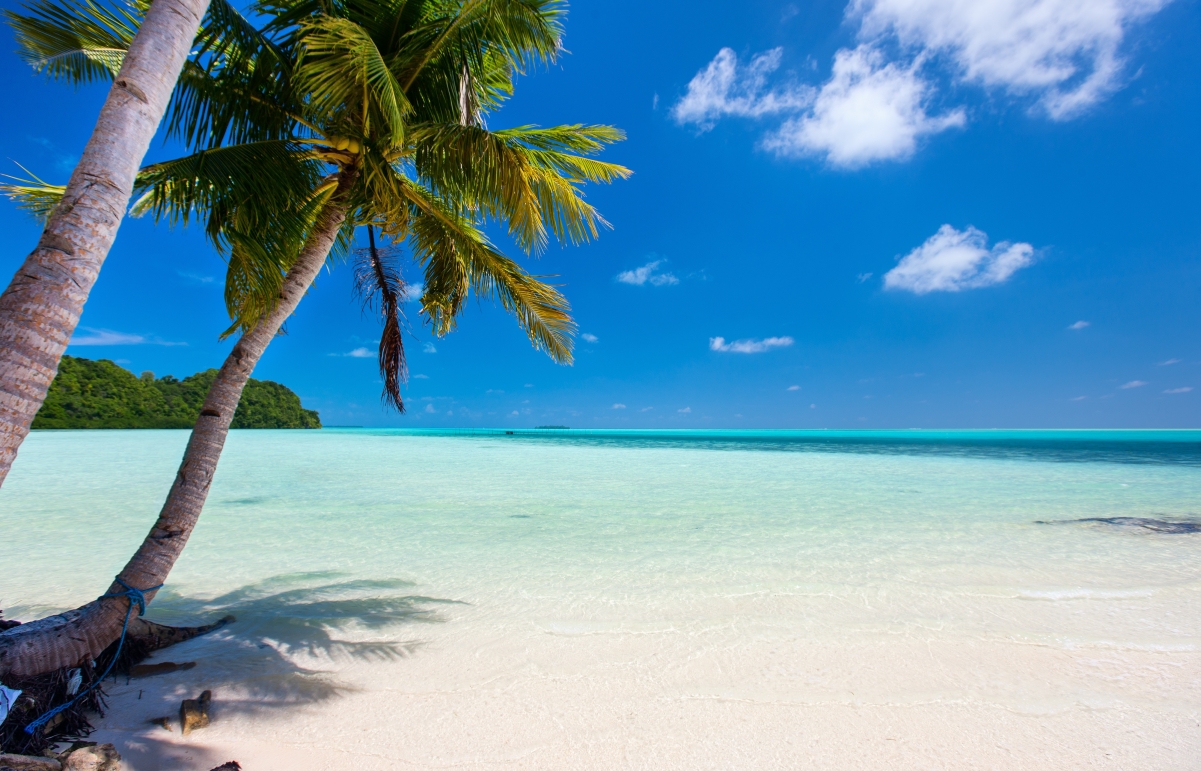 Sunny tropical summer beach big