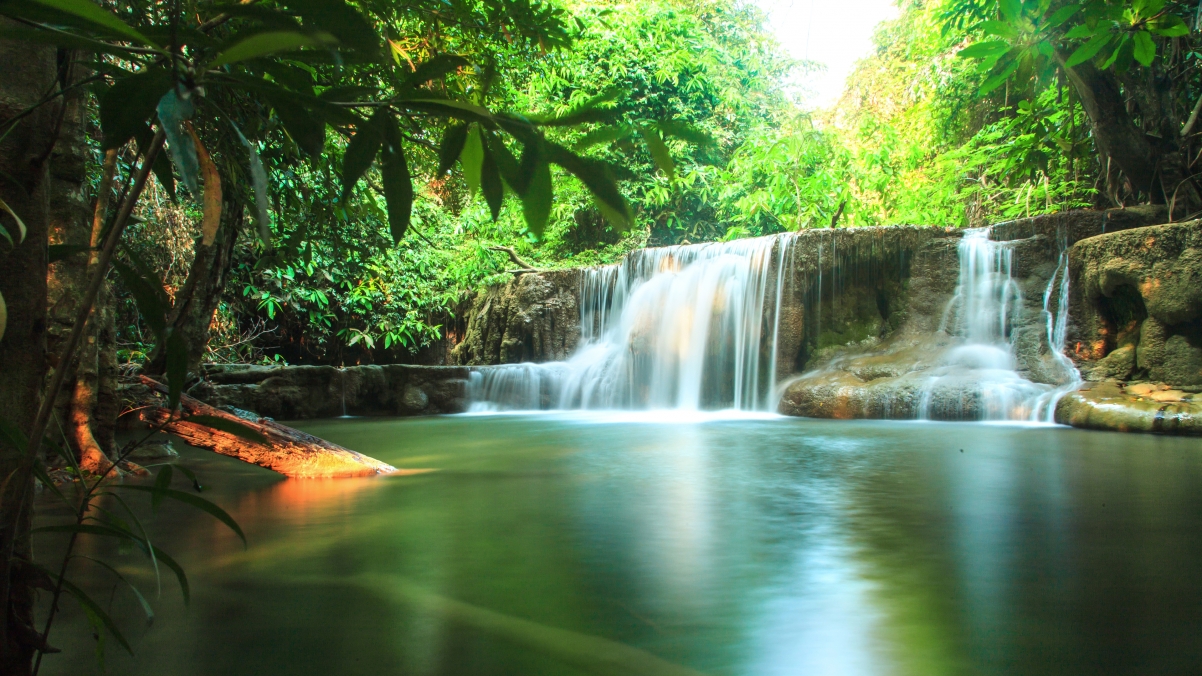 Sunshine green stream waterfall tai