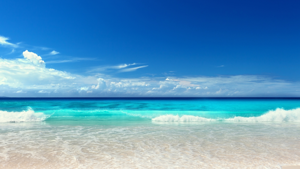 Sunshine sea sea view beach blue