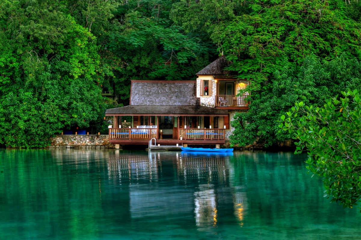 Jamaican island tree leaves
