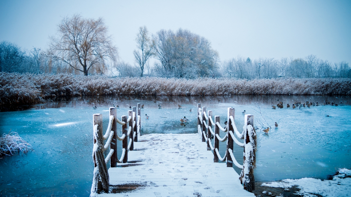 Snow 4k desktop wallpaper