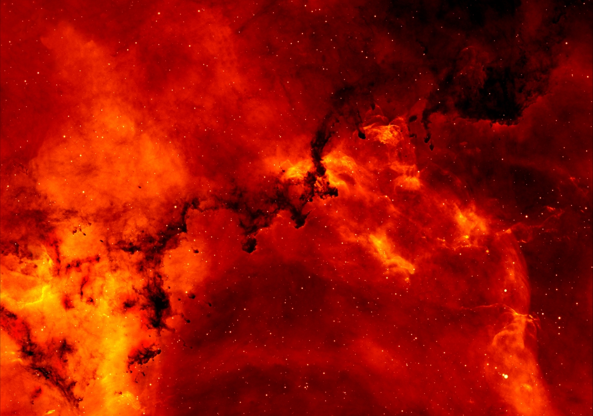 Star cluster rose nebula galaxy universe