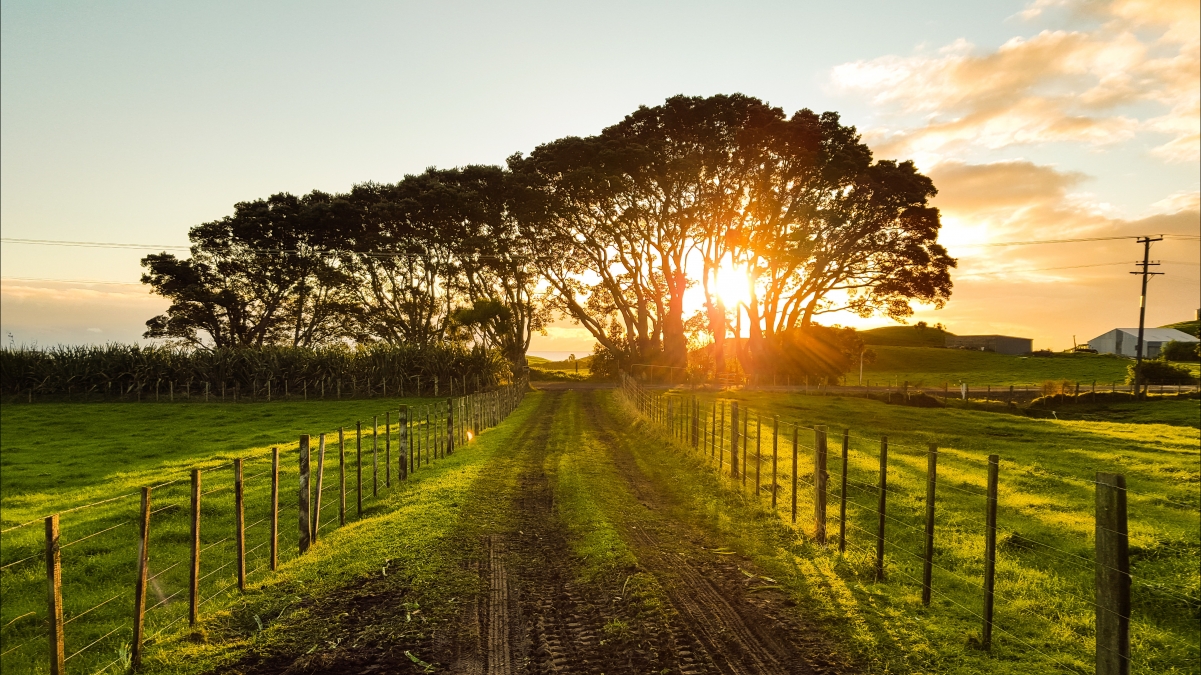 New Zealand Countryside Landscape 5K Wallpaper Map