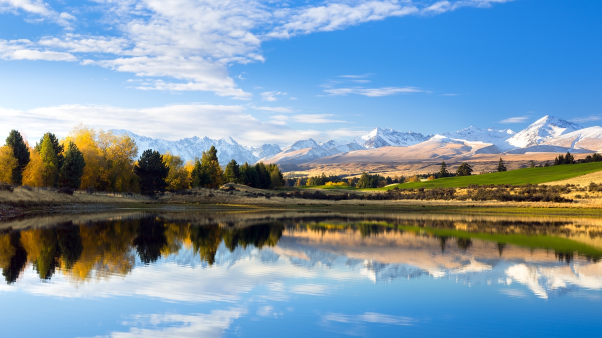 Canter, Hatton Mountain, South Island, New Zealand