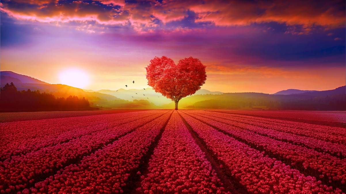 Heart tree tulip sky cloud