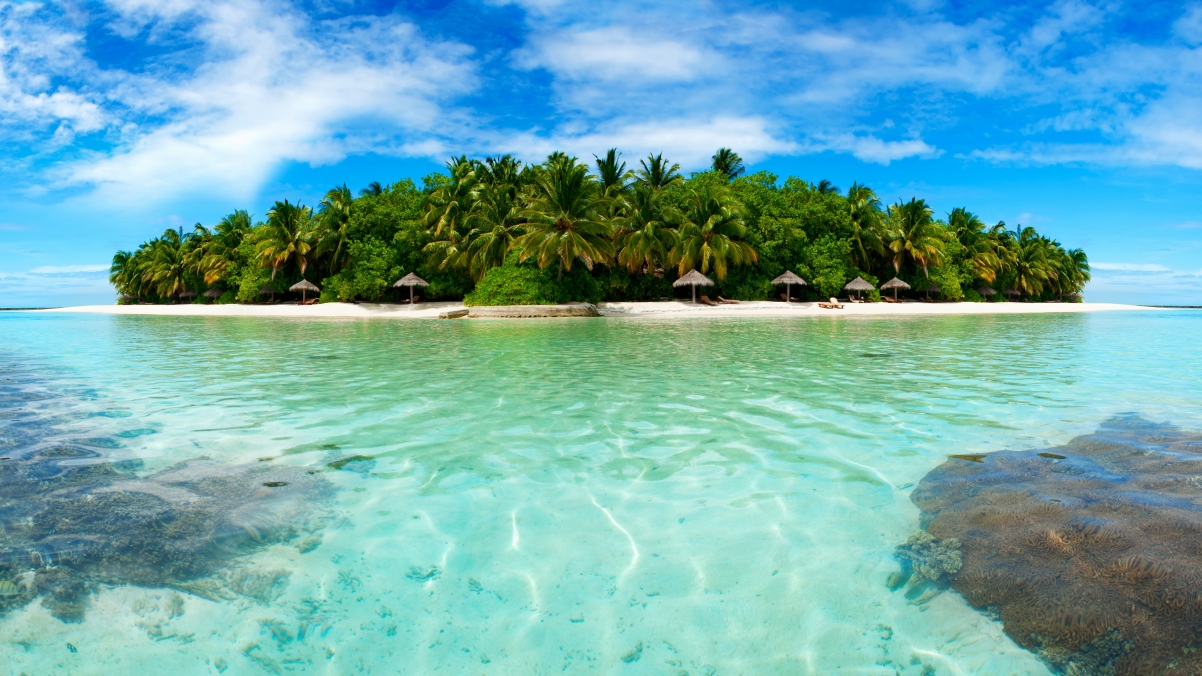 Small island, palm trees, trees on the island