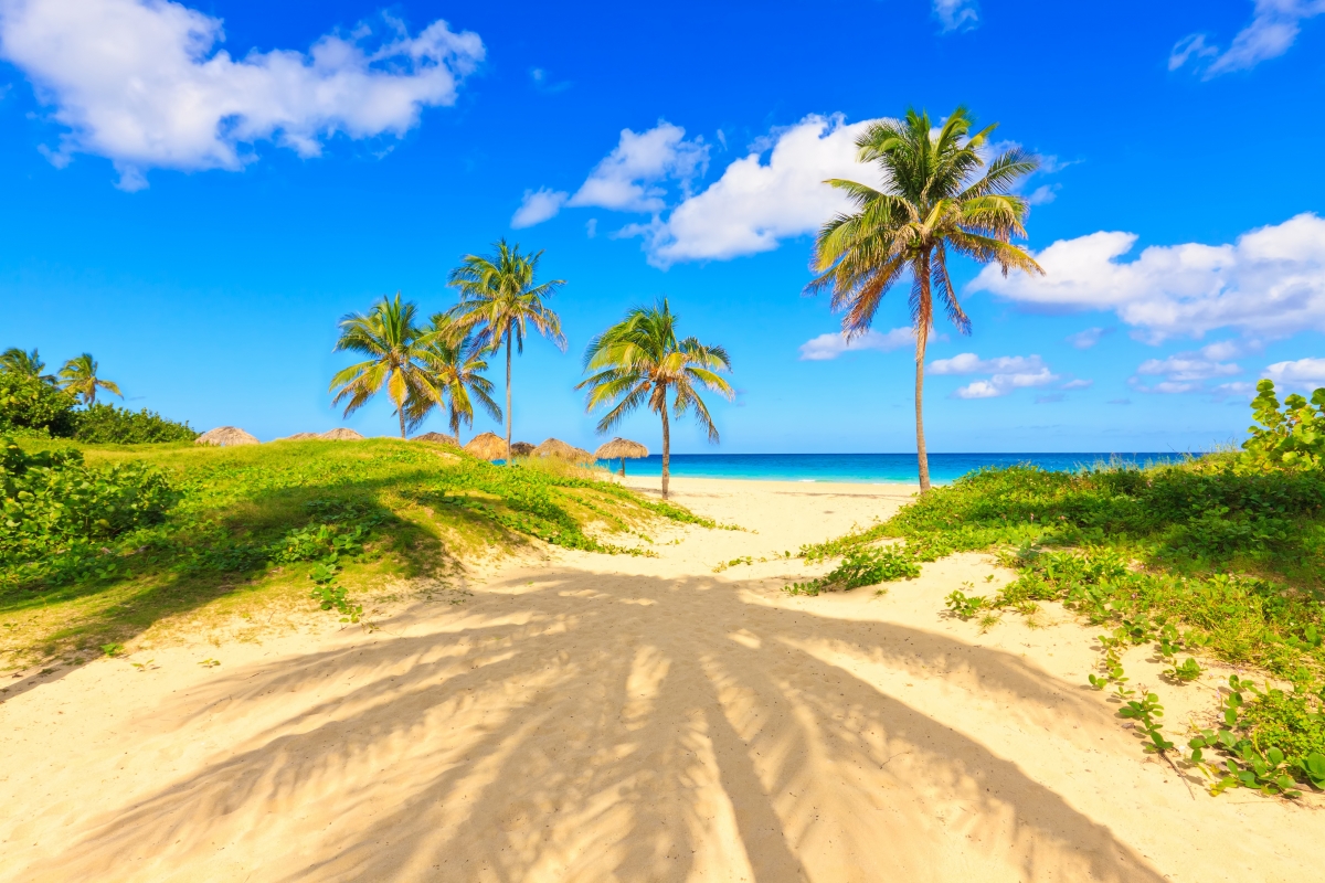 Summer, beach, coast, tropical paradise