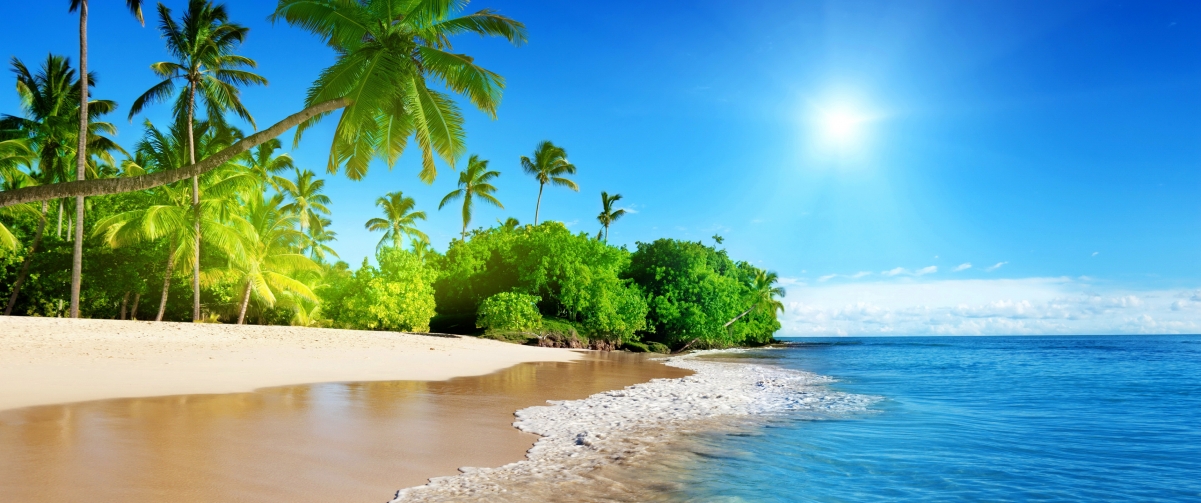 Summer, ocean, sun, sky, brown
