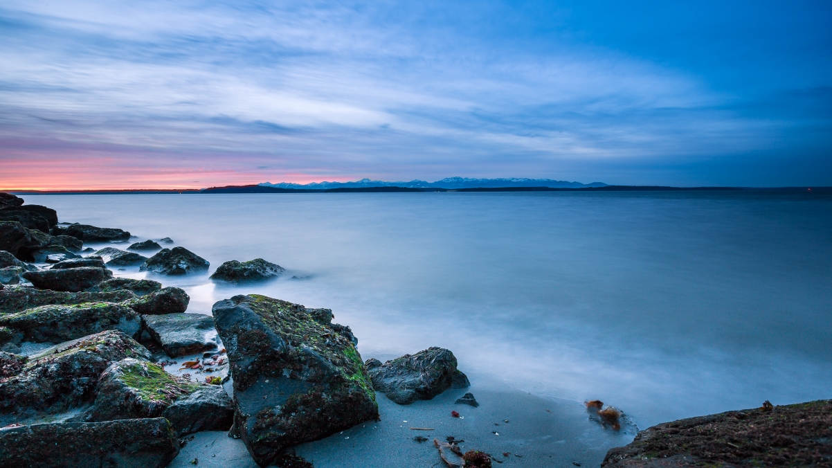 Seattle West Coast 4K Scenic Wall