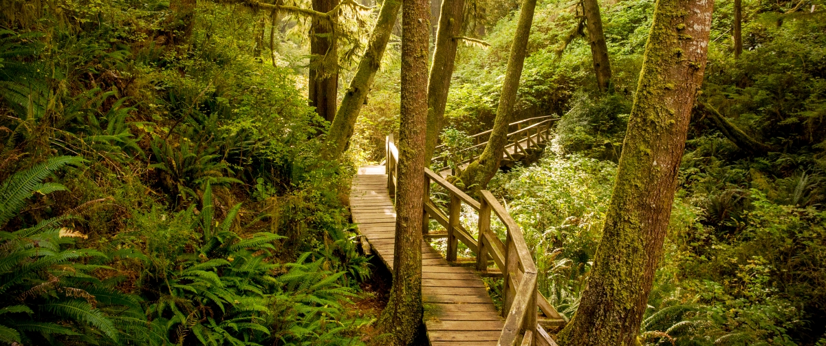 Pacific Coast Countries on Vancouver Island