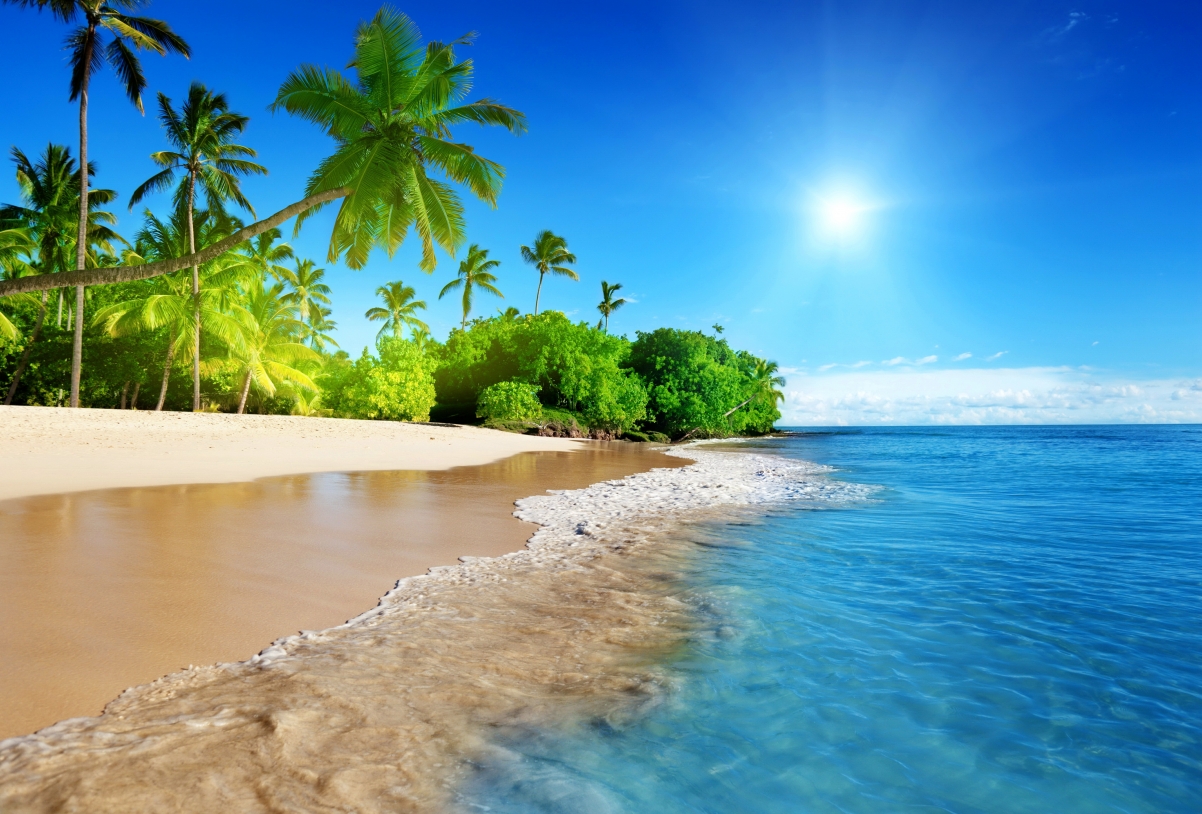 Blue sea, sun, palm trees