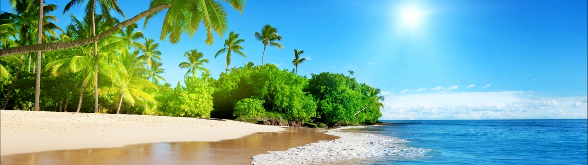 Blue sea sunny palm trees
