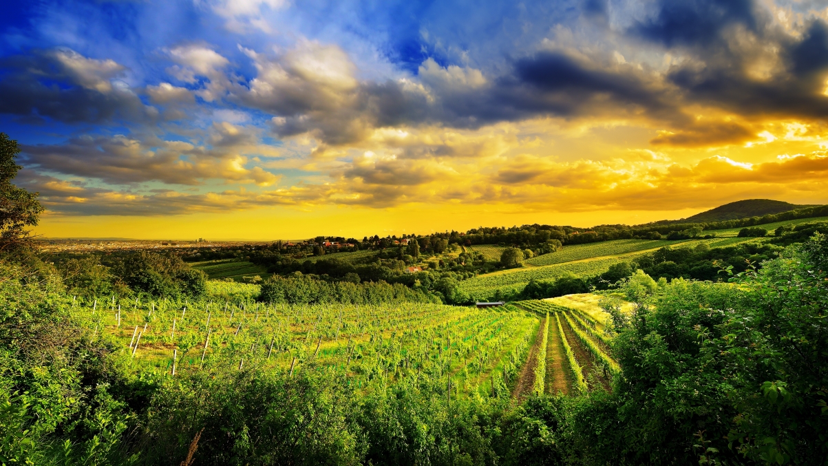 Vienna Landscape 5K Wallpaper