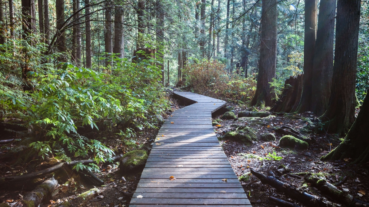 Microsoft win10 theme landscape nature