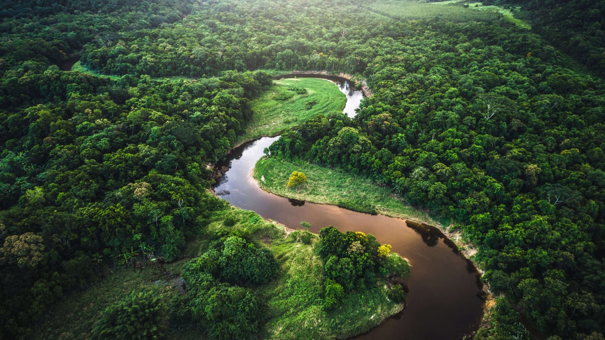 Microsoft Win10 Jungle River Landscape 4