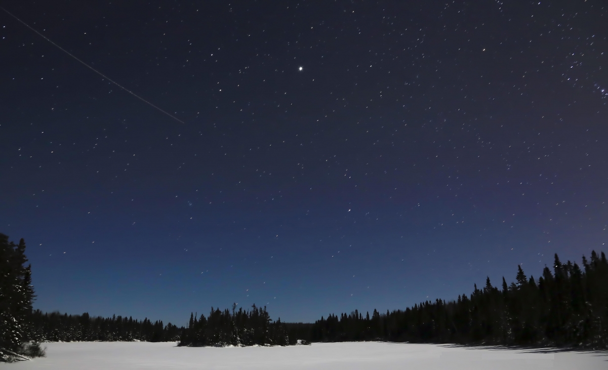 Night star forest natural scenery