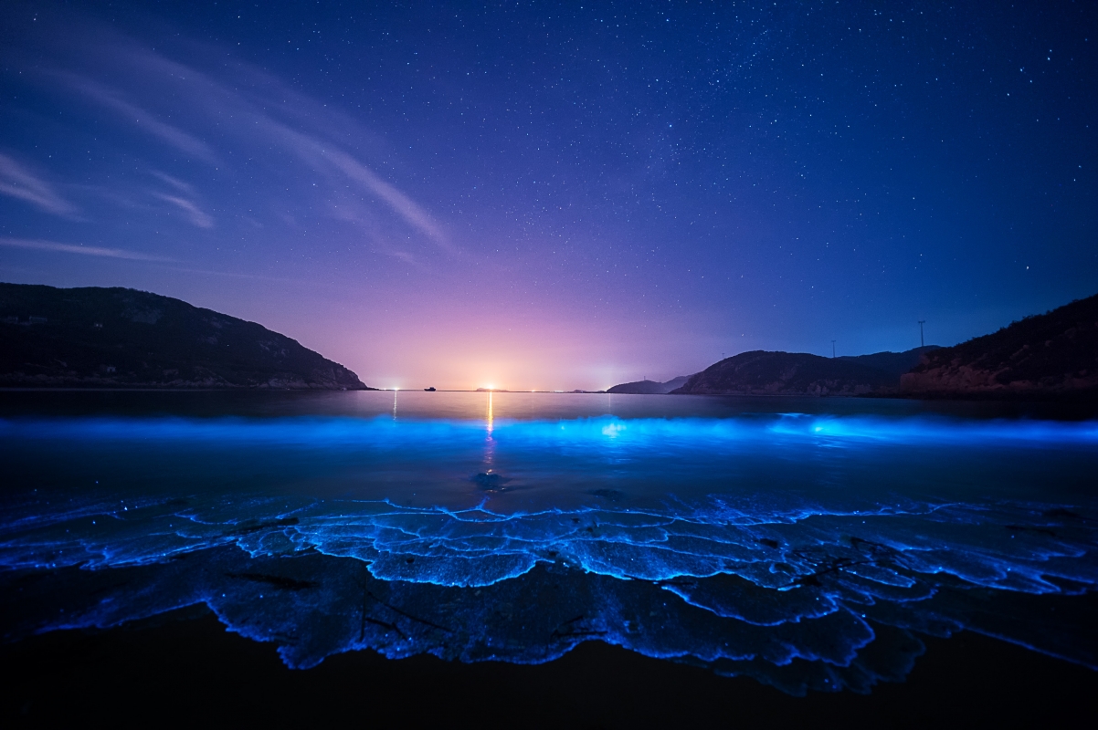 Night starry sky seaside coast 4k wind