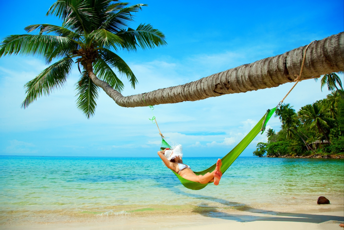 Sky sea palm tree beach sand