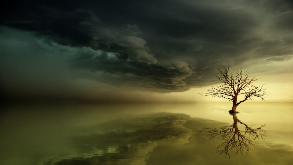 Sky sea sunset tree magic li