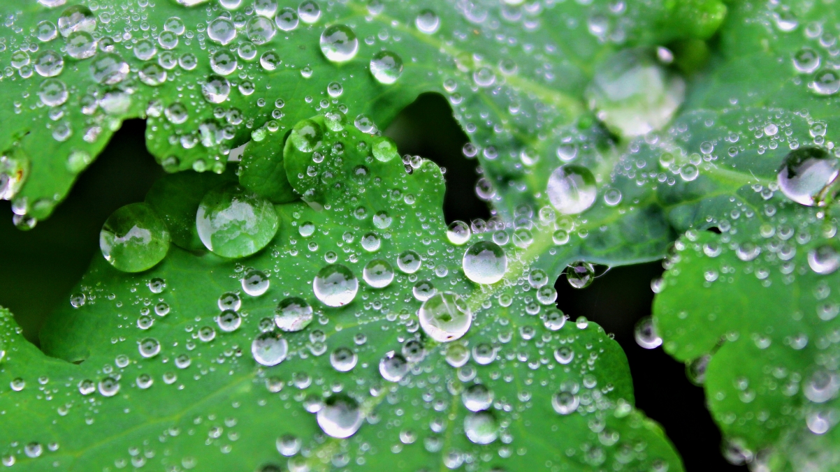 Water drops 4k eye protection wallpaper