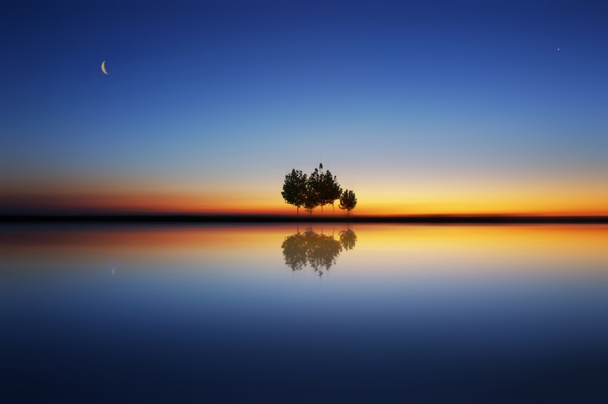 Water tree 4k landscape wallpaper