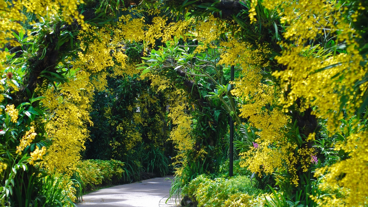 Trees, plants, flowers, arches
