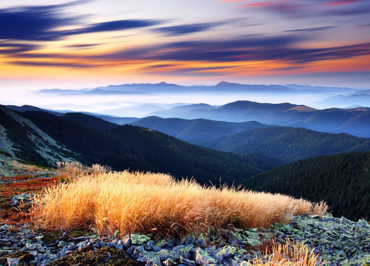 Woods, sky, clouds, valleys