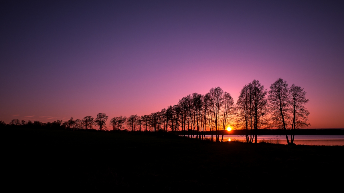 Tree silhouette in a beautiful sunset in Finland