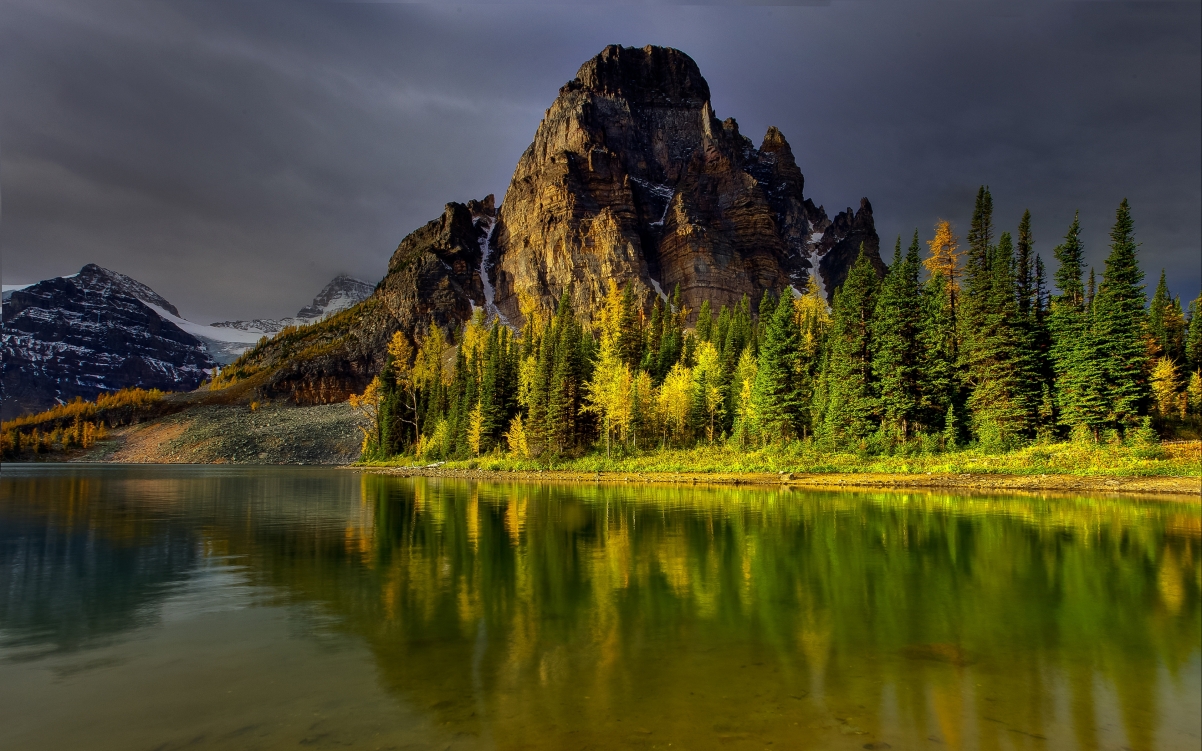 Tree Sky Landscape Landscape 4K Wallpaper