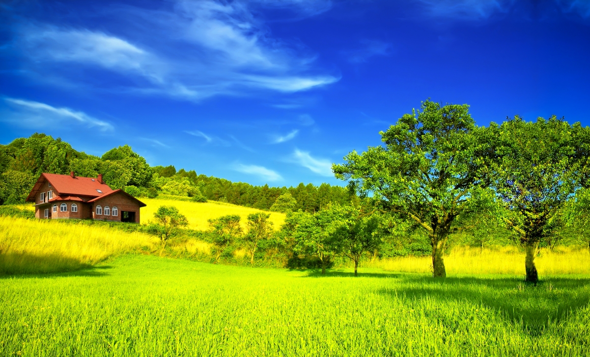 Tree Sky House 4K Landscape Picture